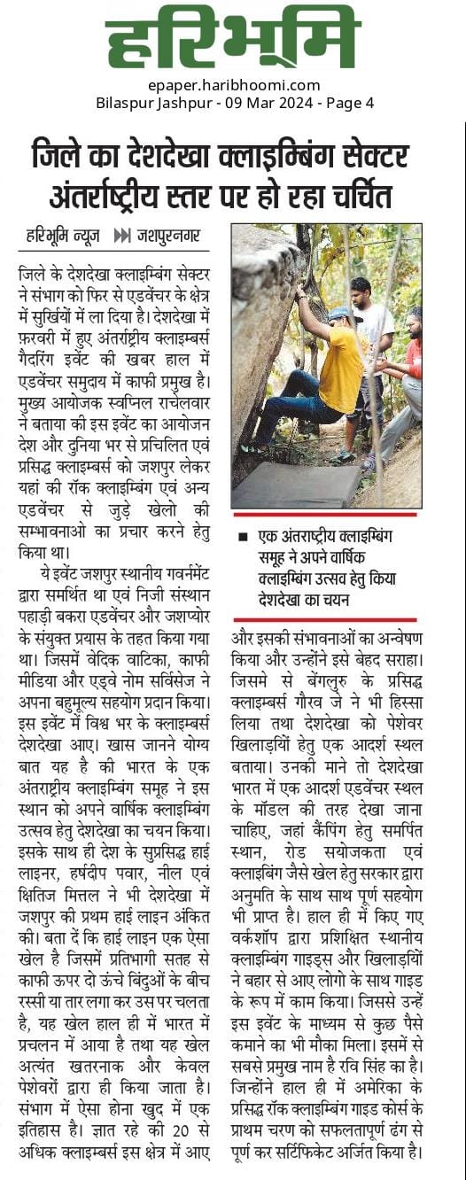 Newspaper Article